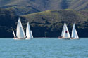 The Wolf Racing Team sails into Sausalito during March 2016 Race